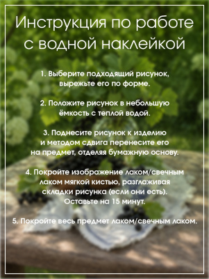 Наклейки переводные для свечей и декора Черная смородина из каталога Наклейки декупажные для декора свечей, яиц, изделий из гипса, в интернет-магазине BPW.style